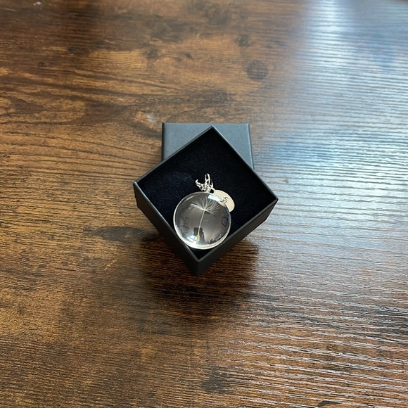 Dandelion Wish Pendant Necklace - Circle/Round - Picture 11 of 11